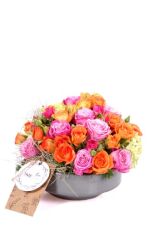 Rose Radiance