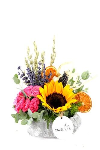 Pink & Summer Sunflower