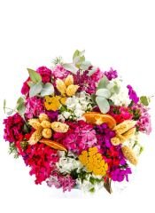 The Spring & Flower Press