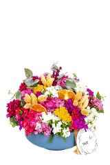 The Spring & Flower Press