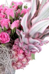 Pink World & Ananas
