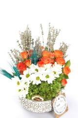 Spring Equinox