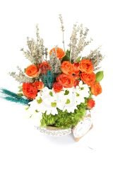 Spring Equinox