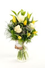Tulips Whiff