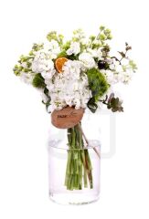 Just White GillyFlower